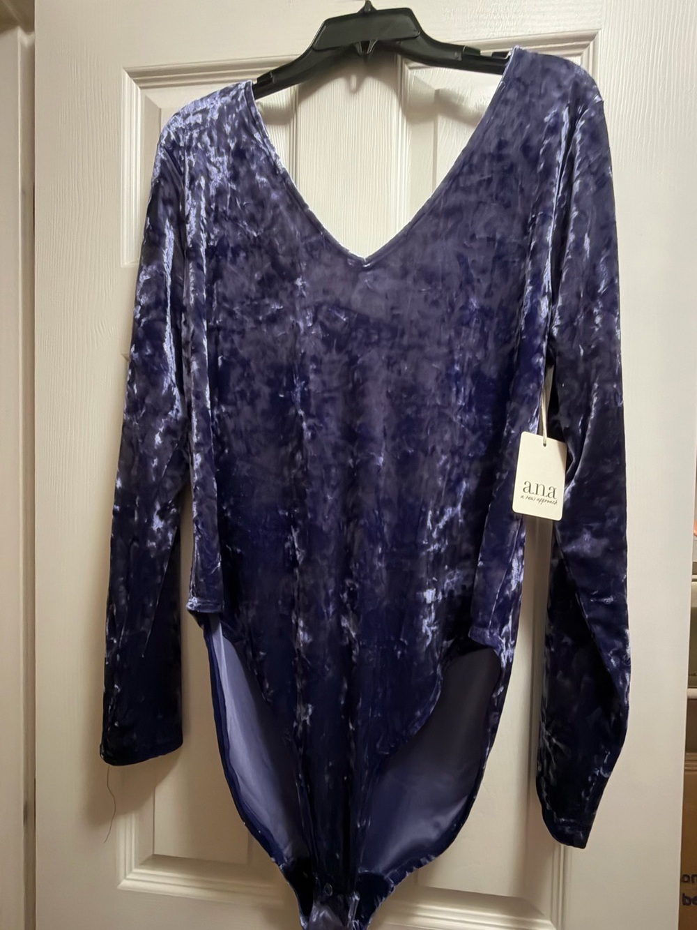 NWT a.n.a Velvet Long-Sleeve V-Neck Bodysuit in Deep Purple